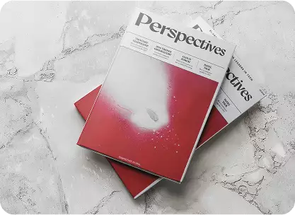 Perspectives